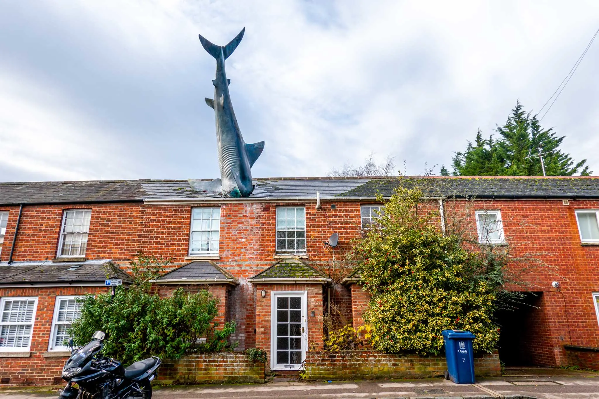 Shark sculpture protruding from the roof of a home.