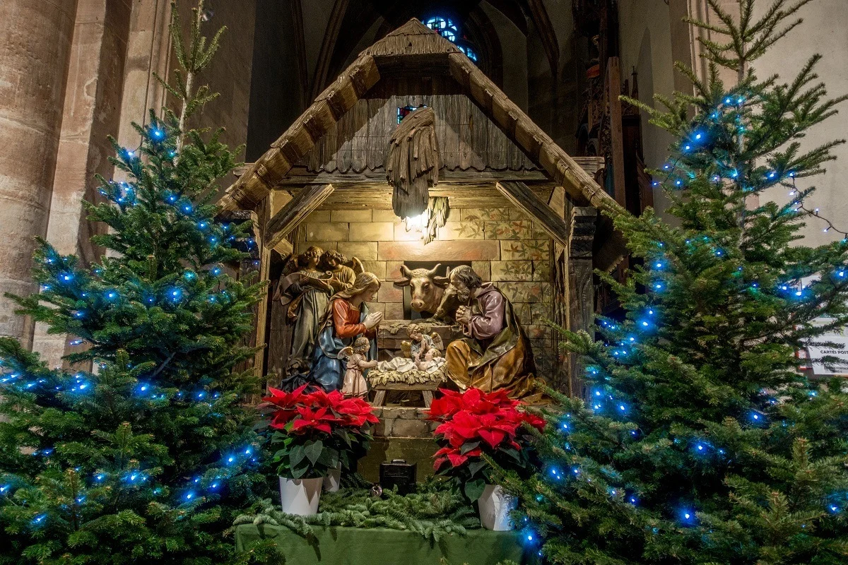 Nativity scene surrounded by Christmas trees