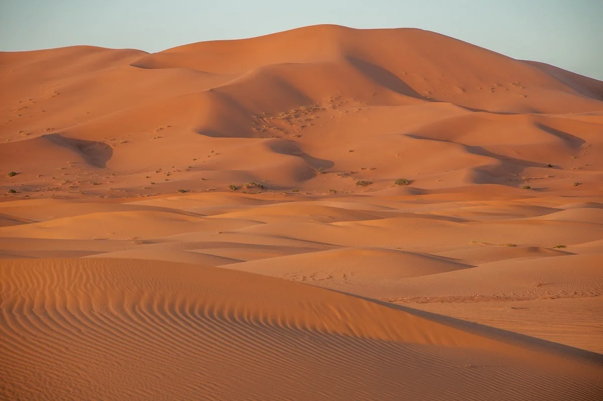 Massive sand dunes in the desert at sunrise.