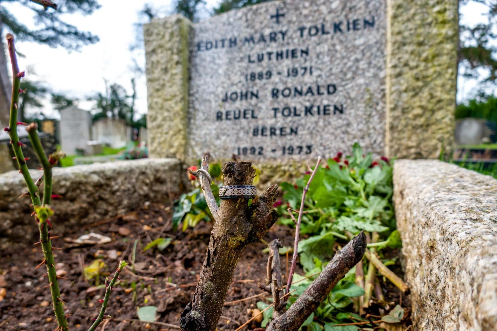 Rings around the stalk of a rosebush at the grave of JRR Tolkien and his wife 