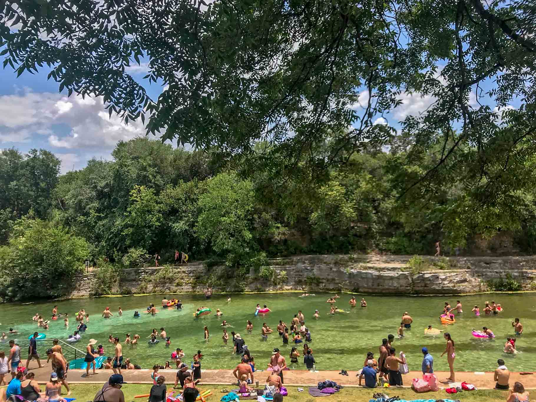 People swimming and relaxing in the natural spring at Barton Springs Pool.