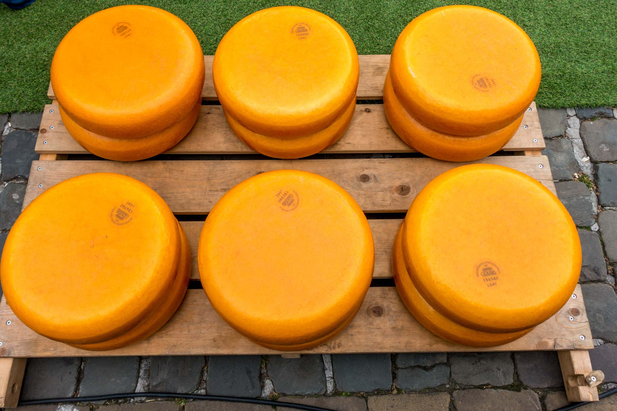 Wheels of orange Gouda cheese