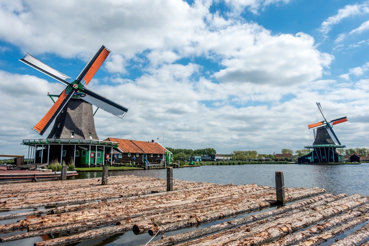 Logs floating in the river in front of windmills