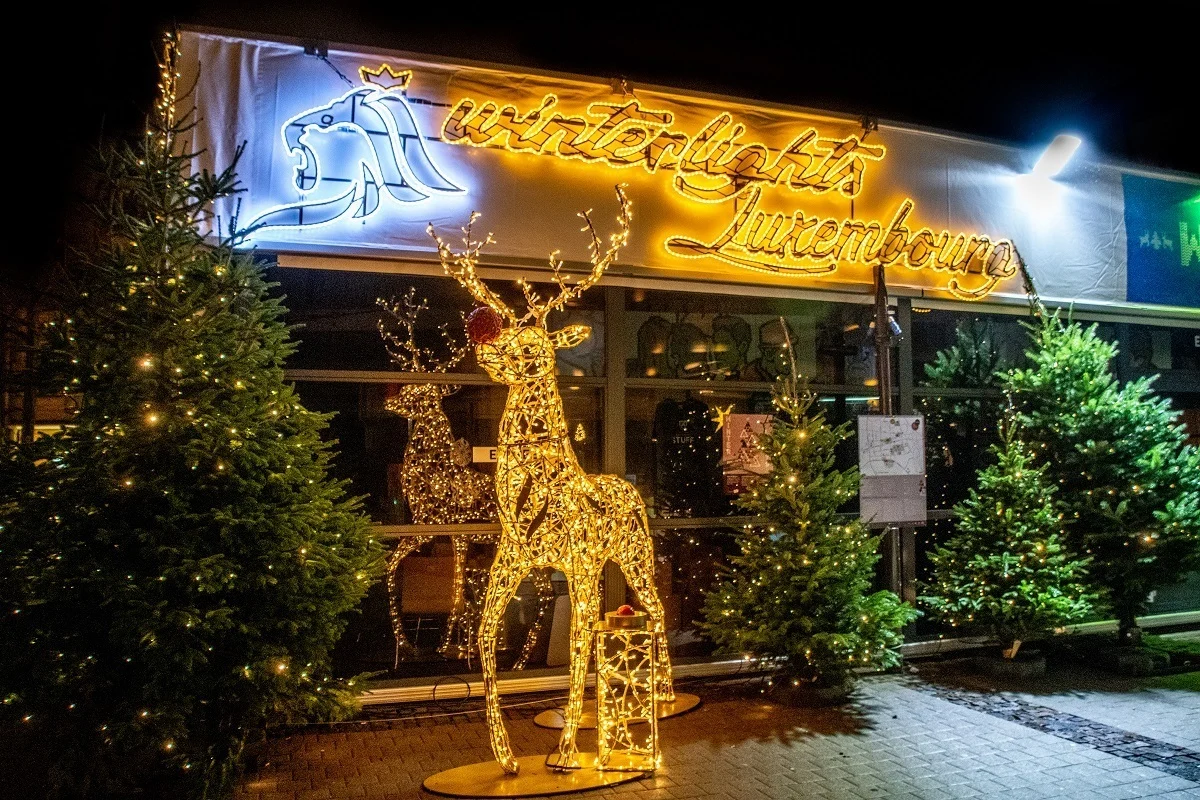 Reindeer and "Winter Lights" sign illuminated with Christmas lights