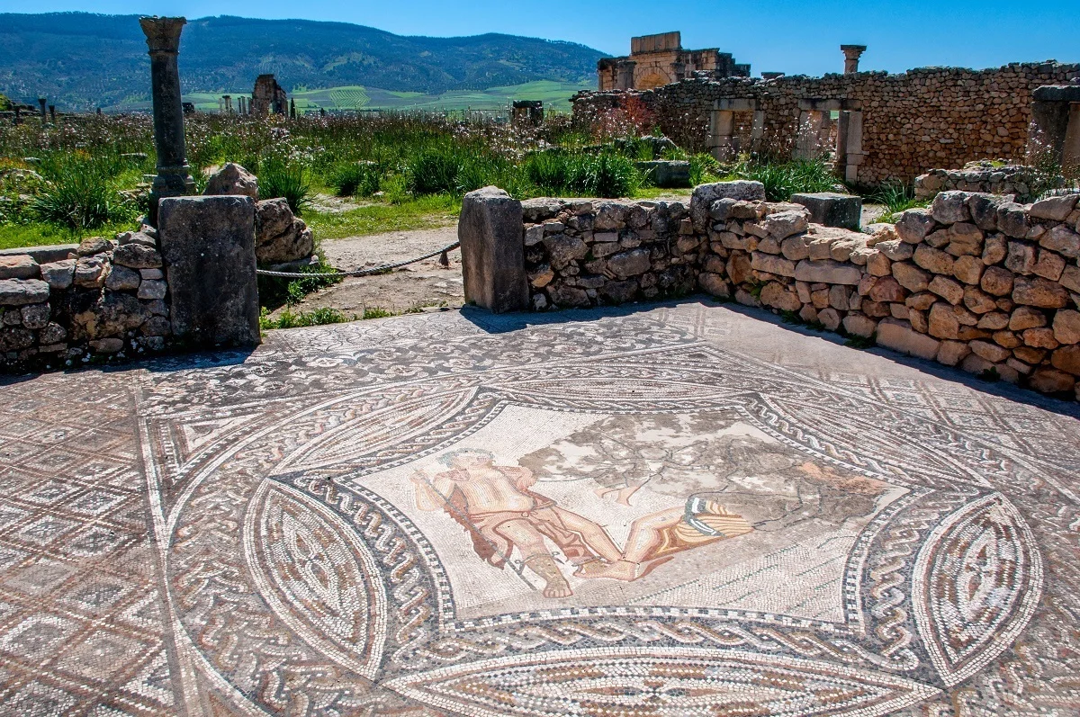 Bacchus mosaic