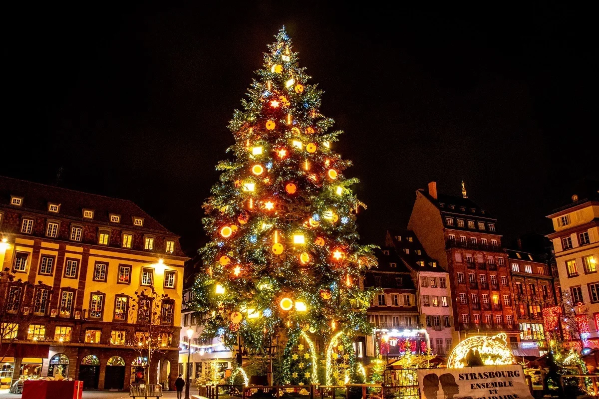  Christmas tree lit up at night