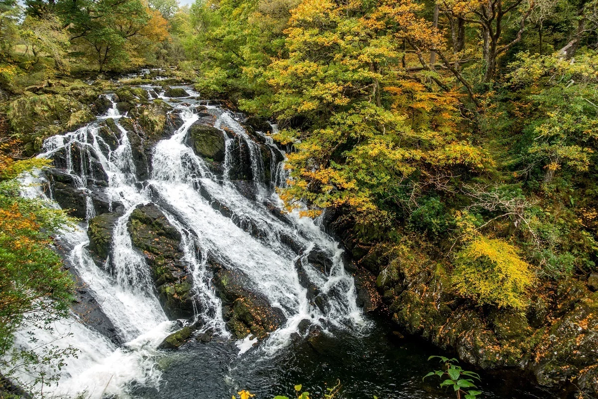 Waterfall surrounded by fall foliage 