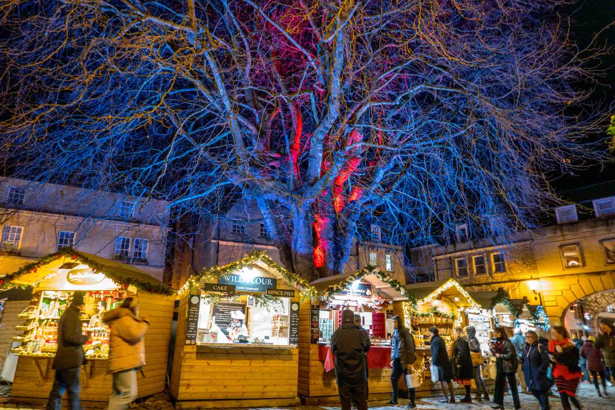 Vendor stalls at night in front of lit up trees