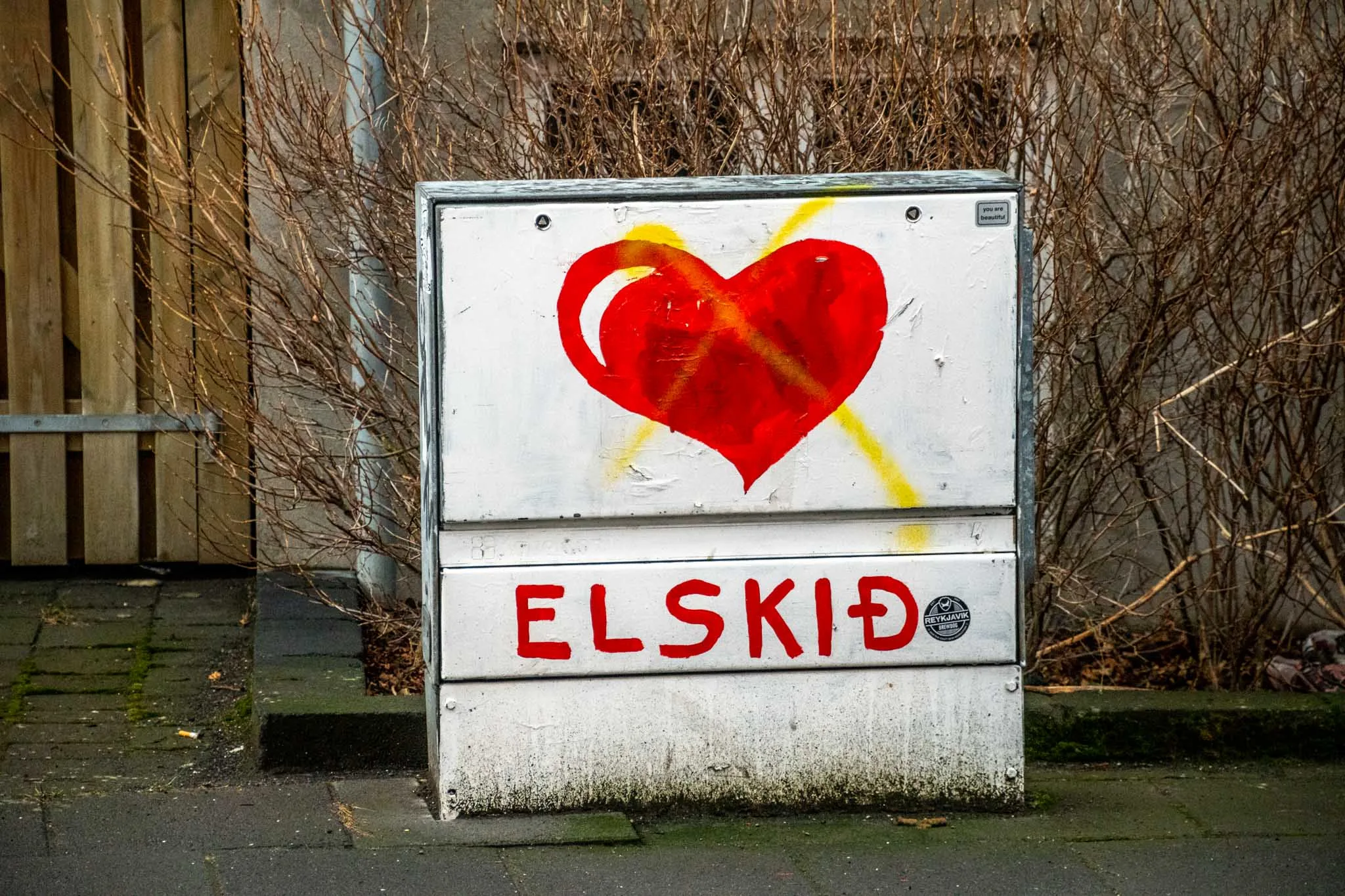 Electrical box with red heart and word ELSKID