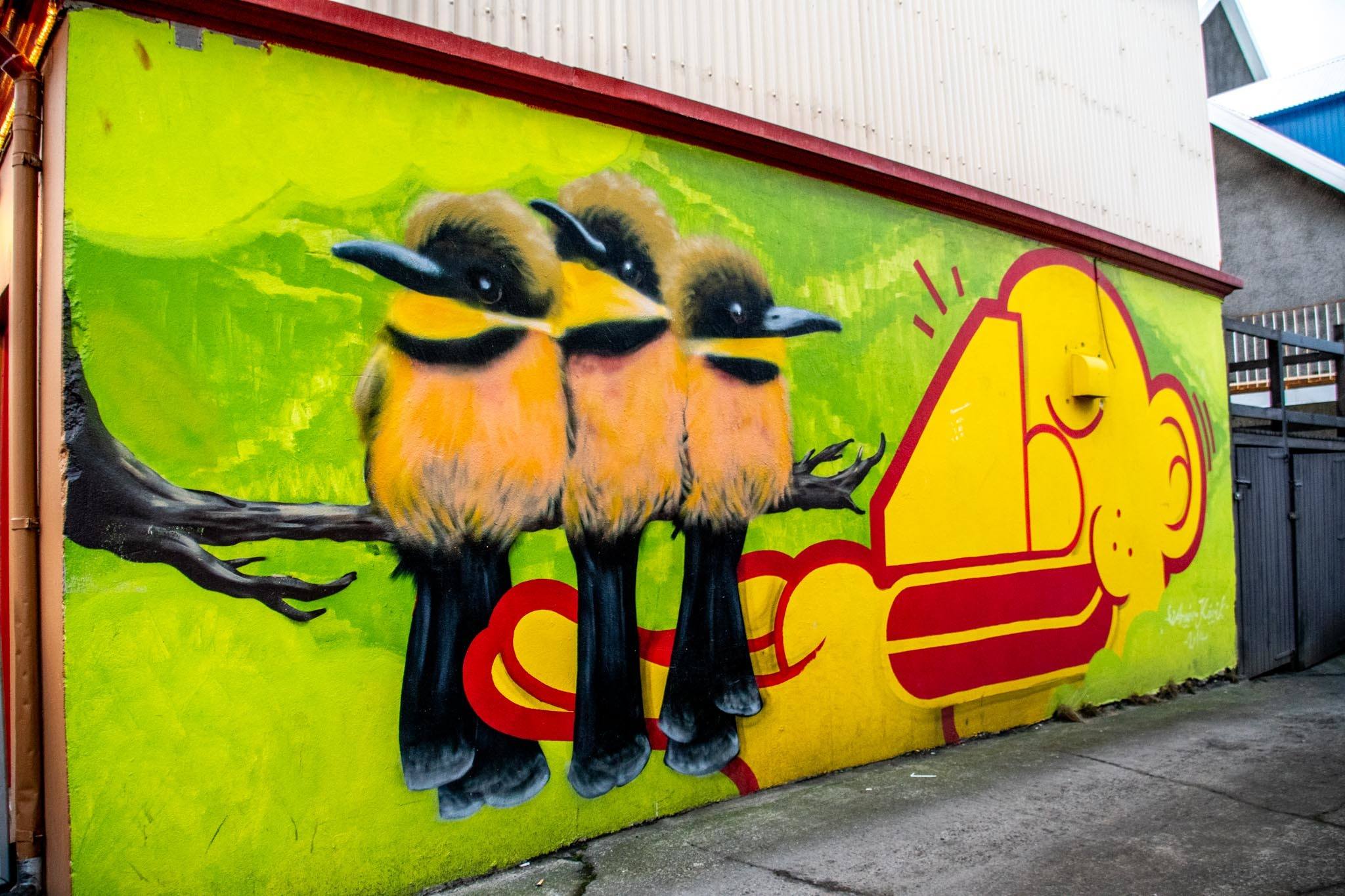 Three birds wall mural is an example of Iceland street art
