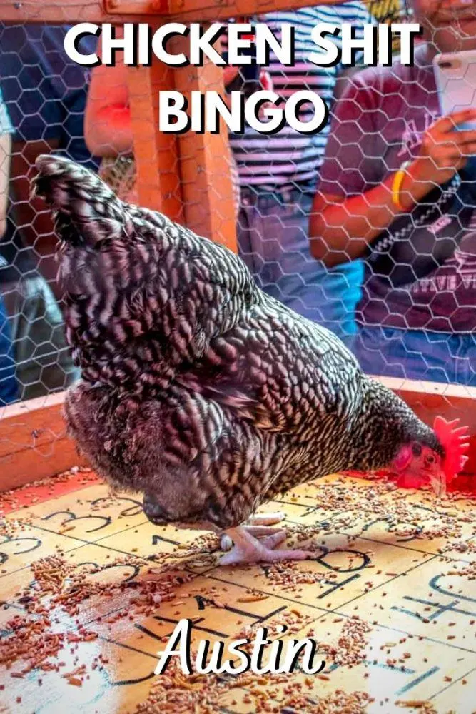 What to Know About Playing Chicken Shit Bingo in Austin