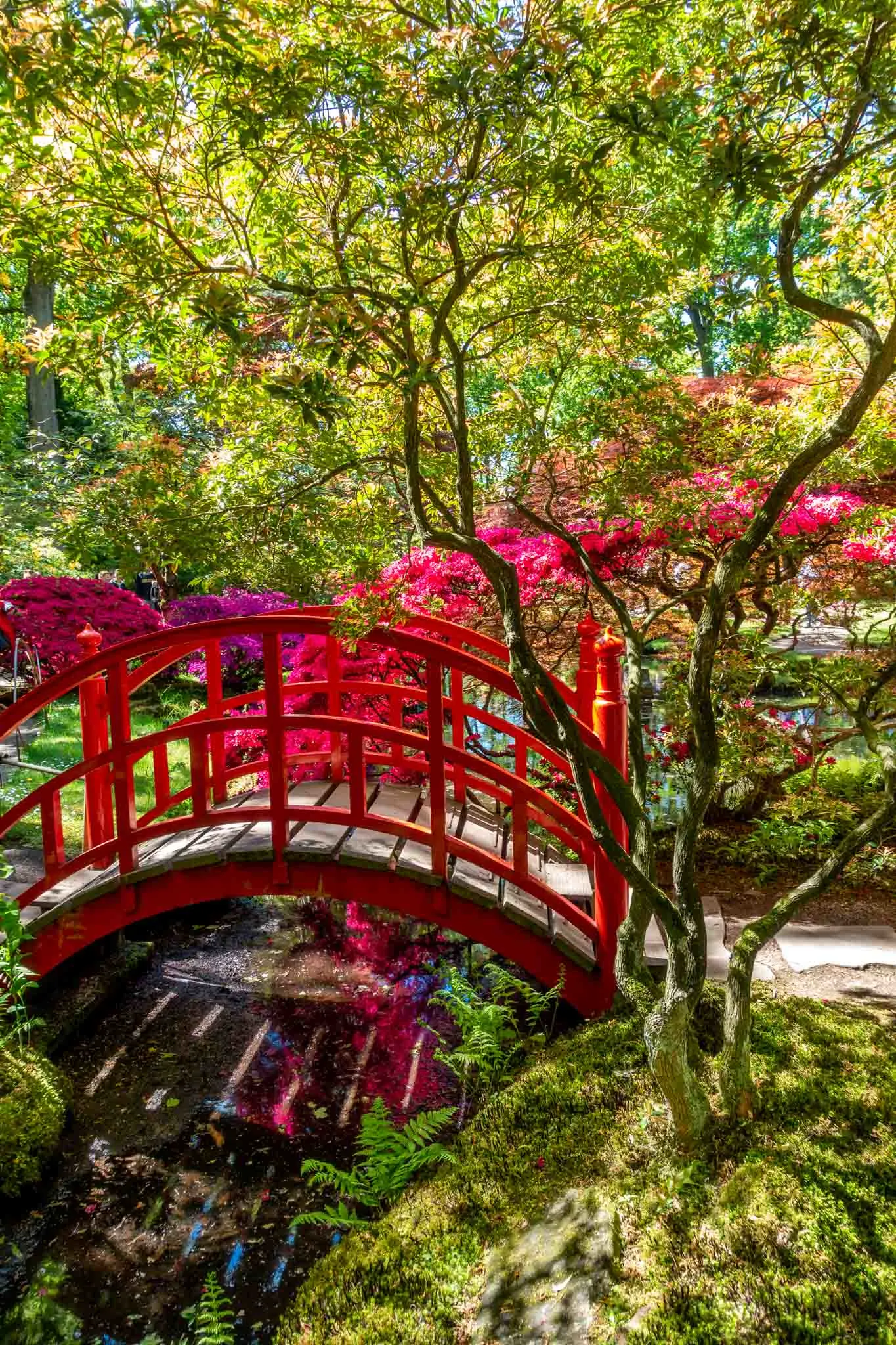 Red wooden bridge over a stream surrounded by trees and flowers.