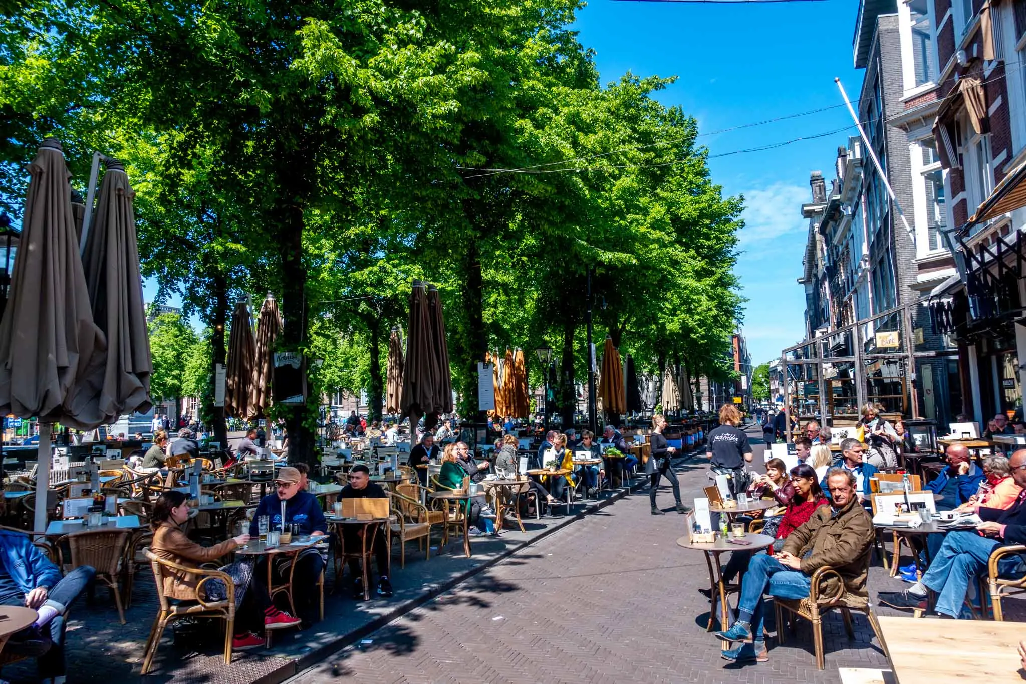 People at outdoor cafes on a tree-lined square