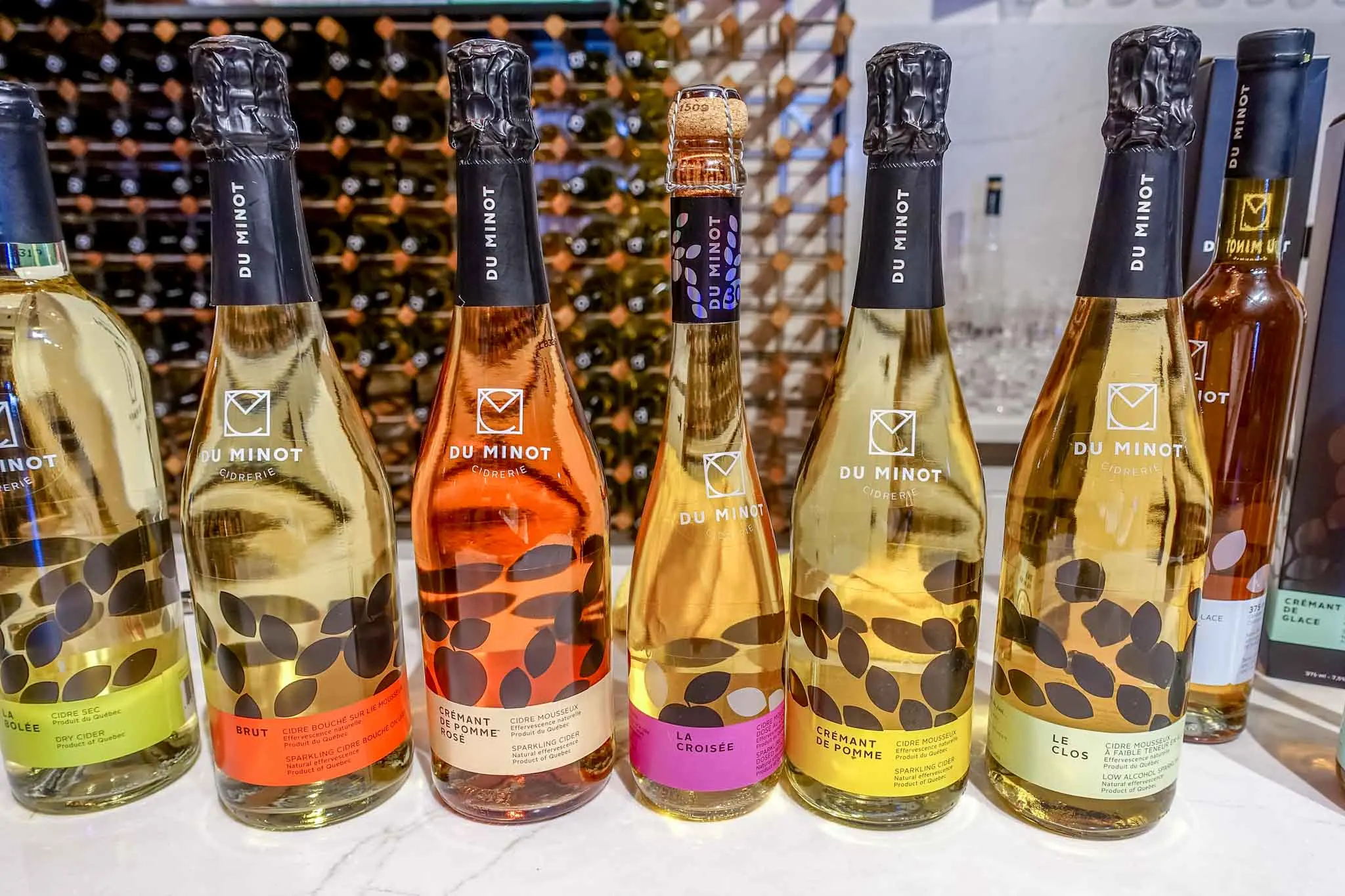 Bottles of cider lined up on a counter