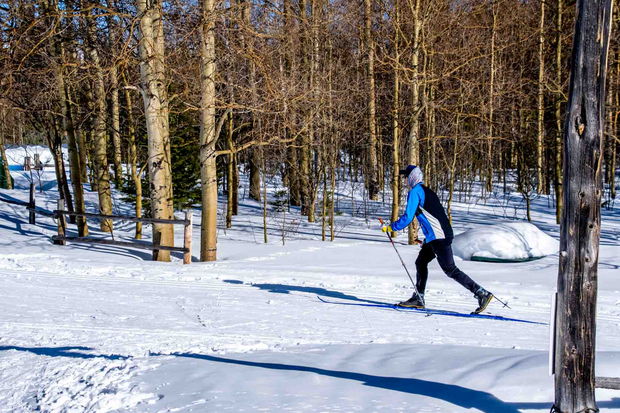 Man cross country skiing 