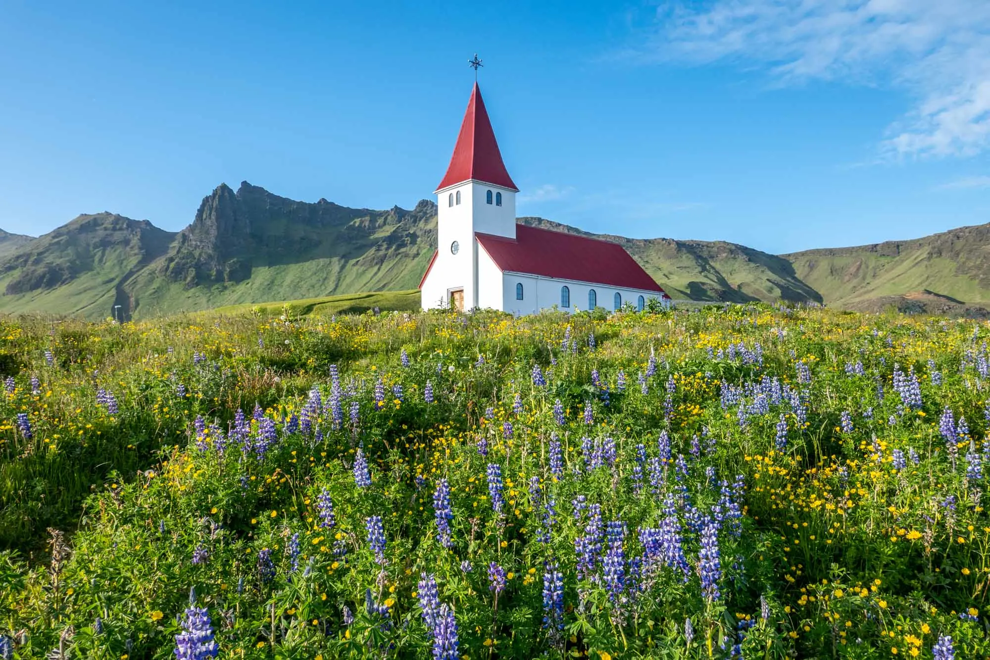Red church on hill with purple flowers