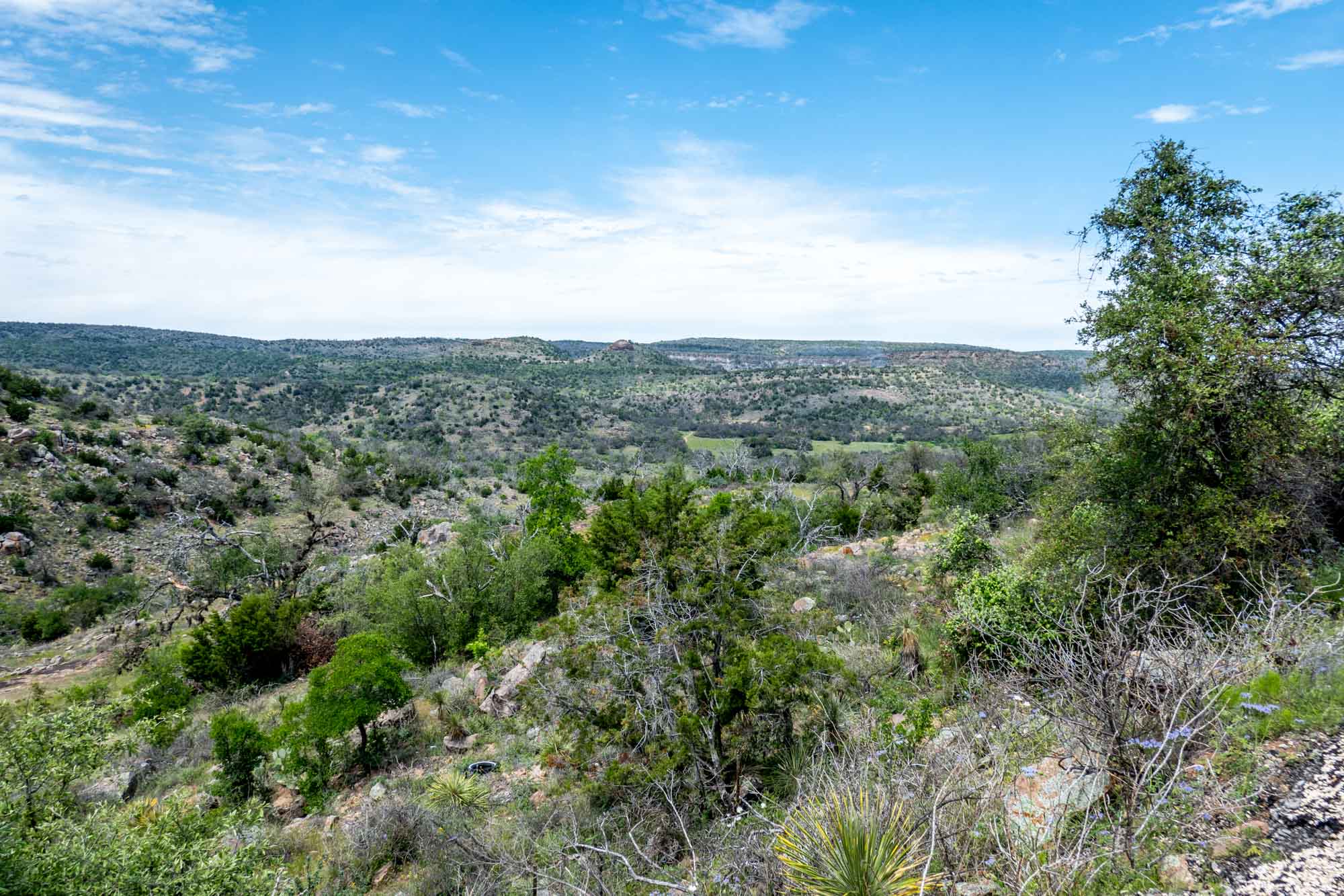 Rolling hills of the Texas Hill Country