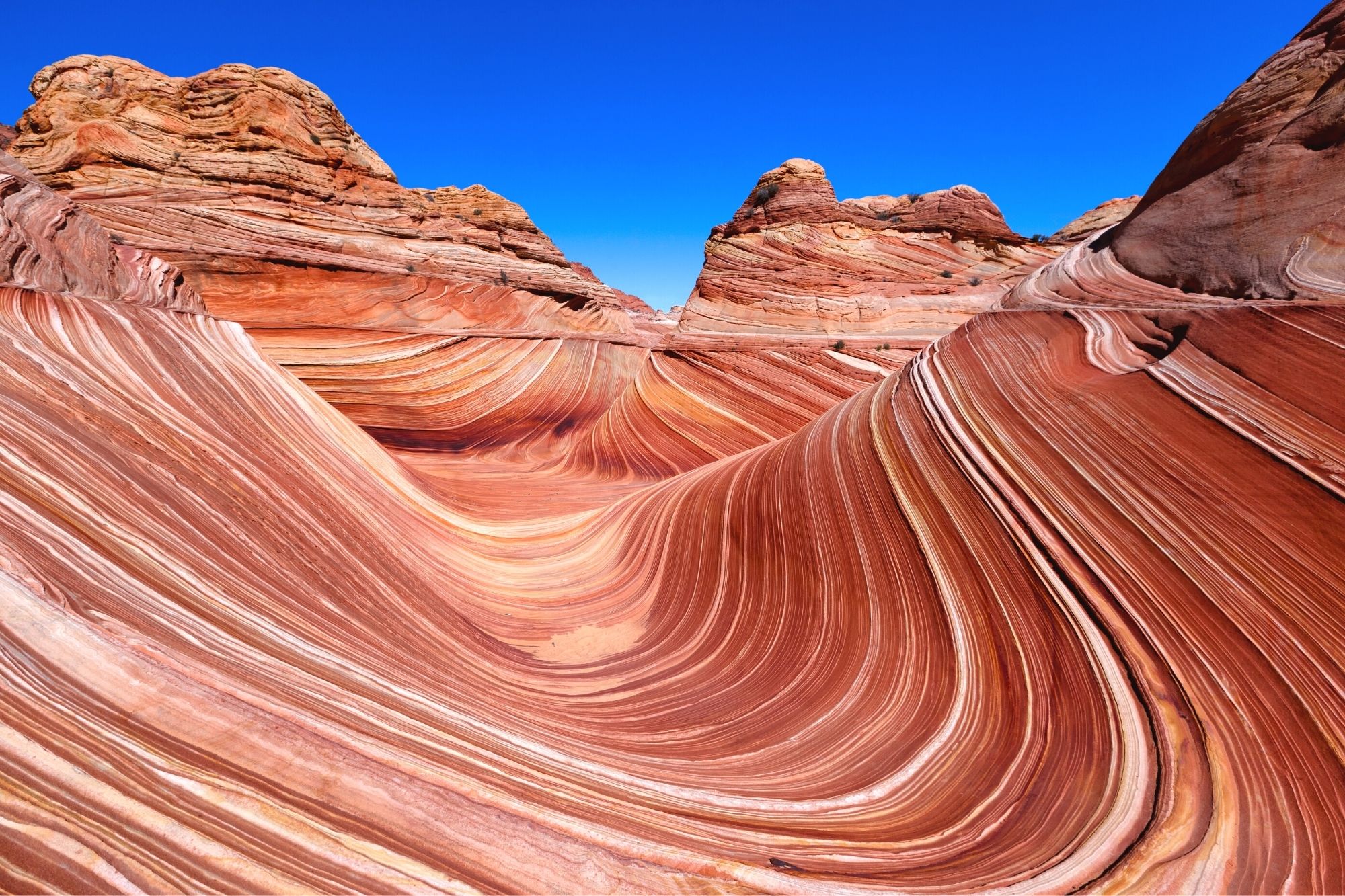 The wavy rock formation known as The Wave in Arizona