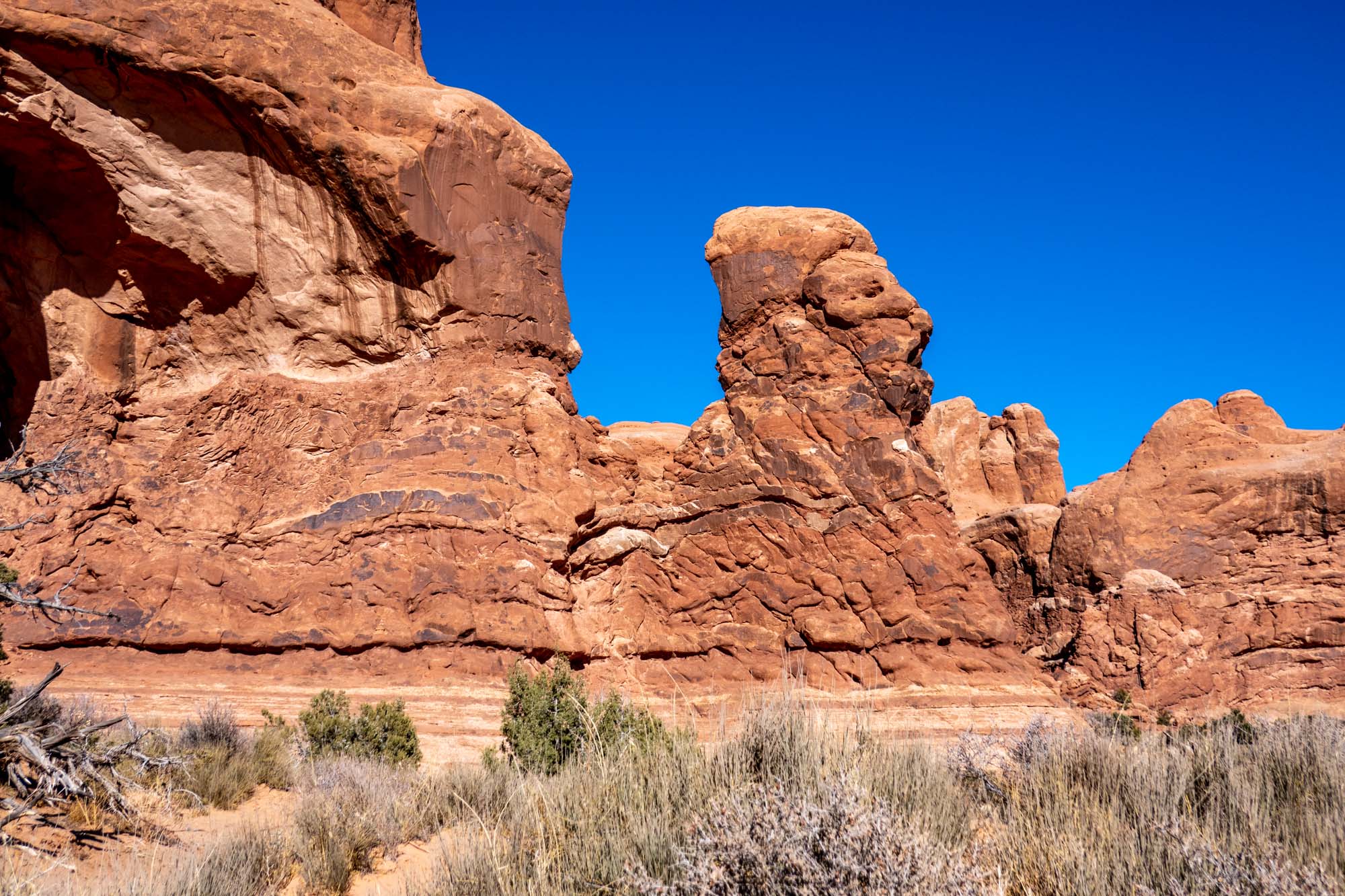 Sandstone rock formation that resembles Lions Head in Arches