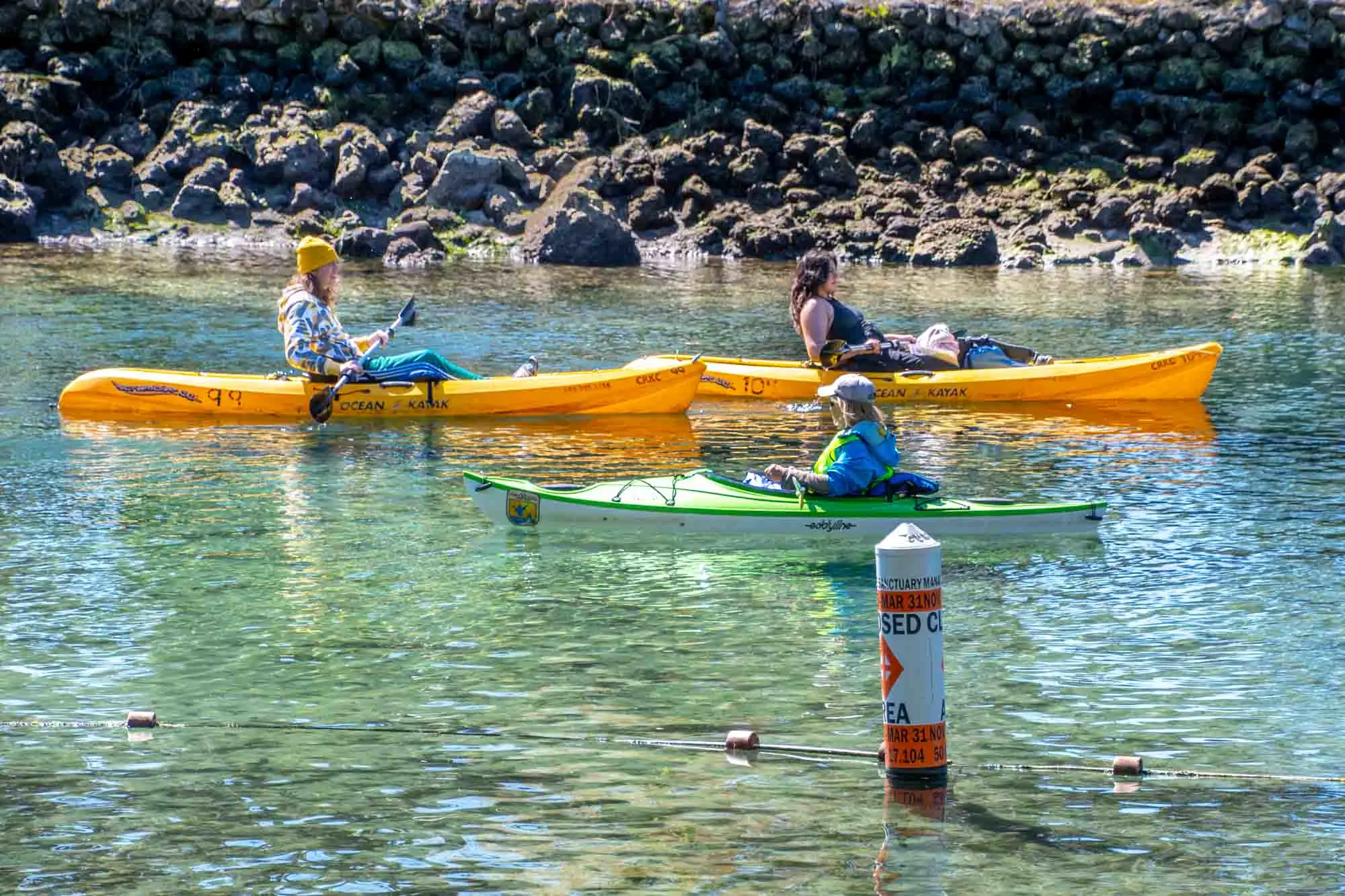 Kayakers near manatee protected area