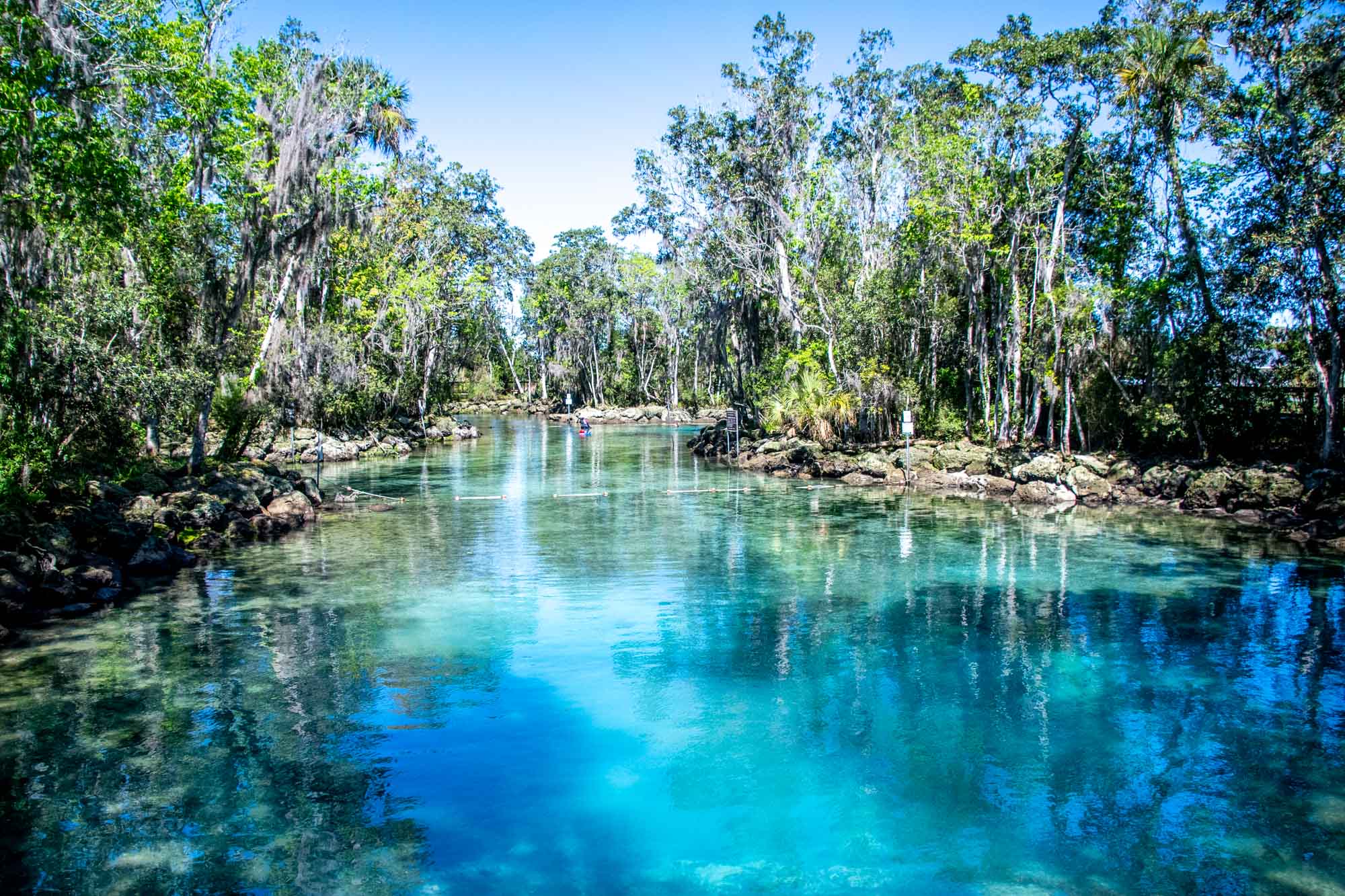 View of deep blue Three Sisters Springs in Florida