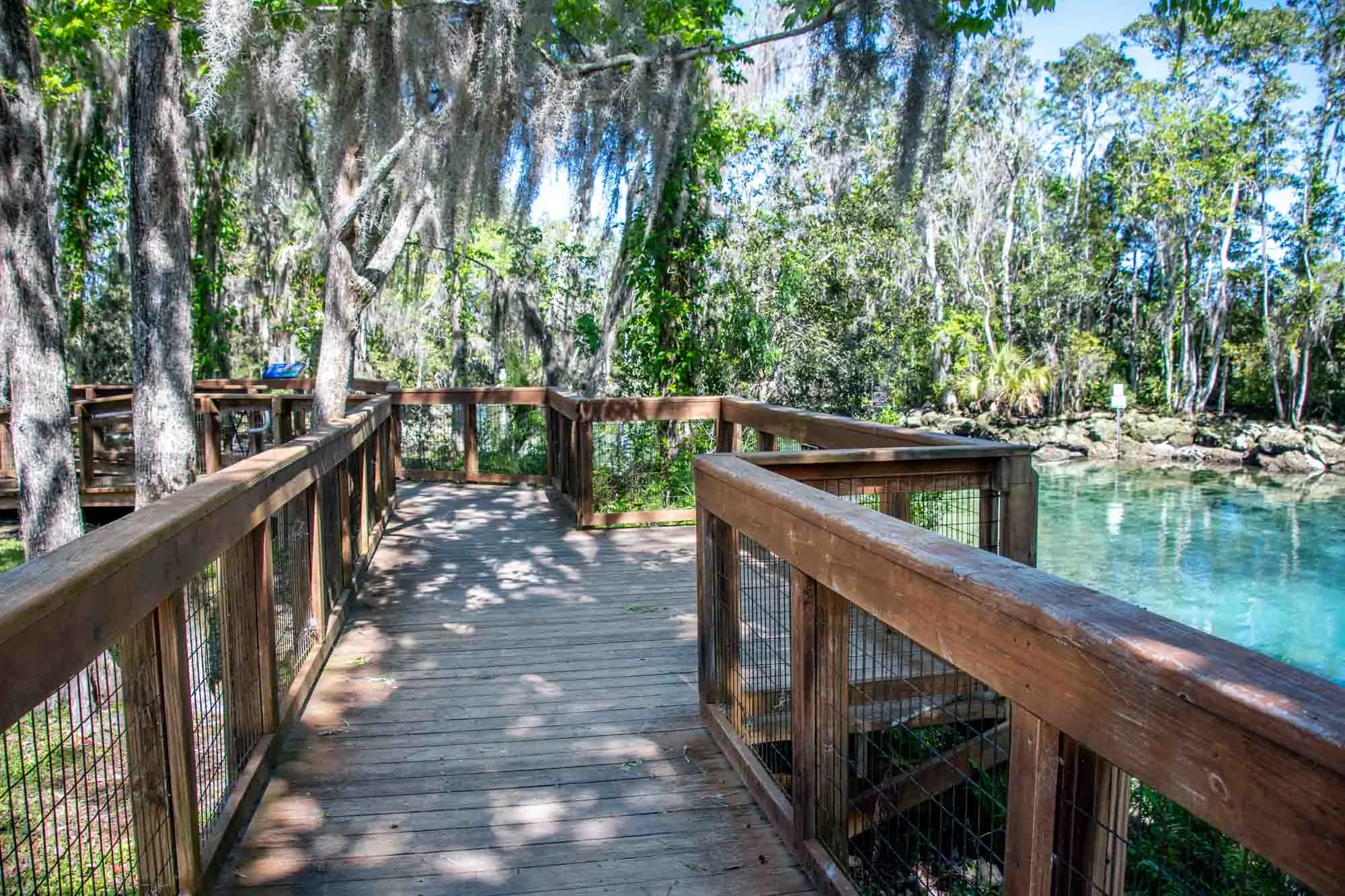 Wooden boardwalk above blue spring water