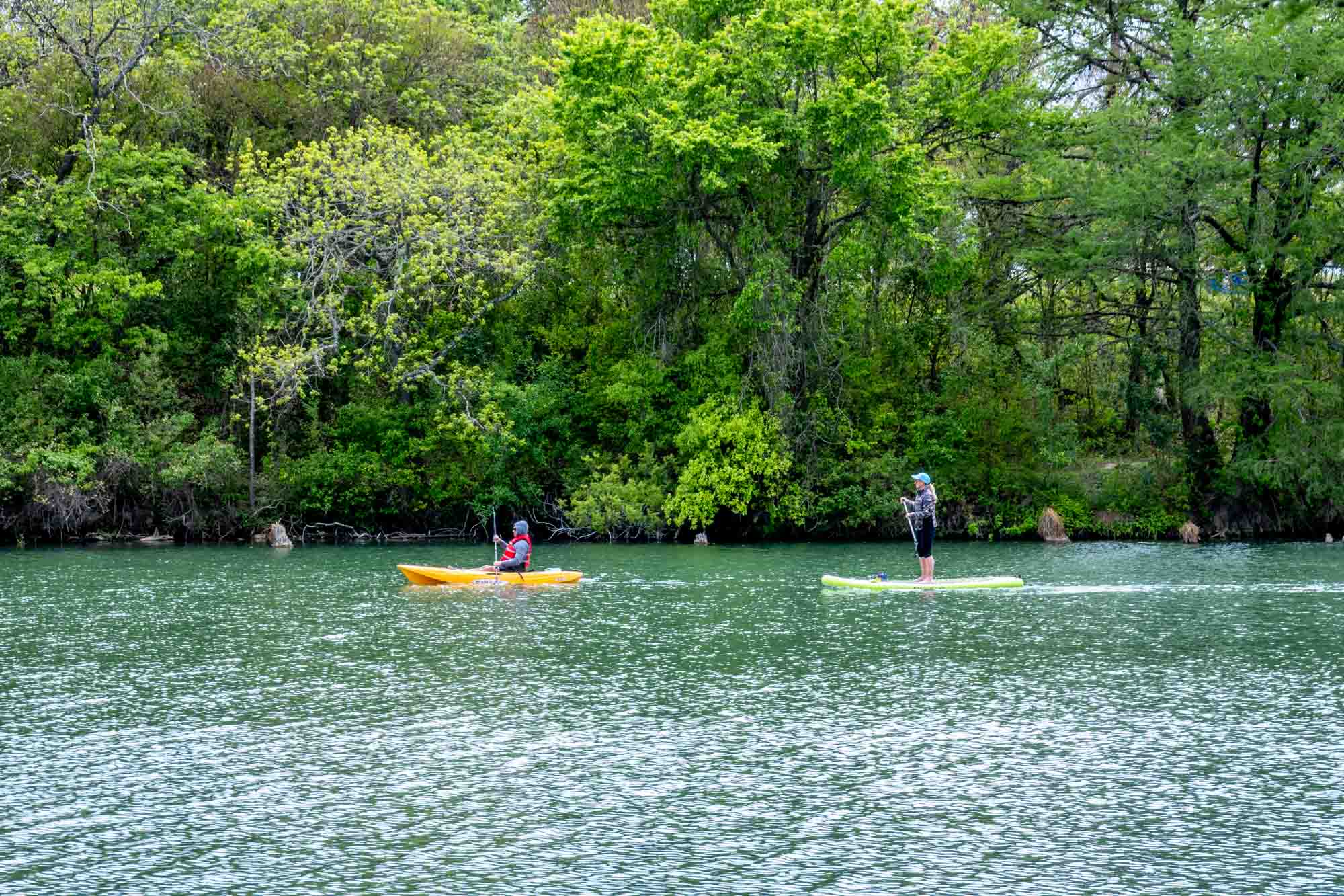 Kayaker and sand-up paddle boarders in a river lined by trees