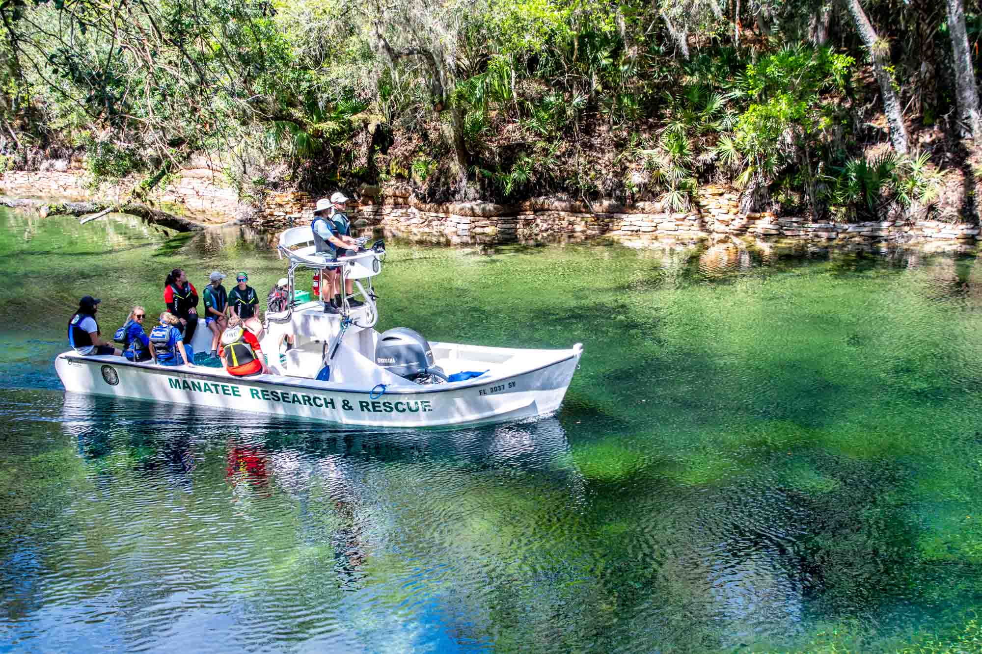 People in a boat labeled "Manatee Research & Rescue" sailing in a freshwater spring