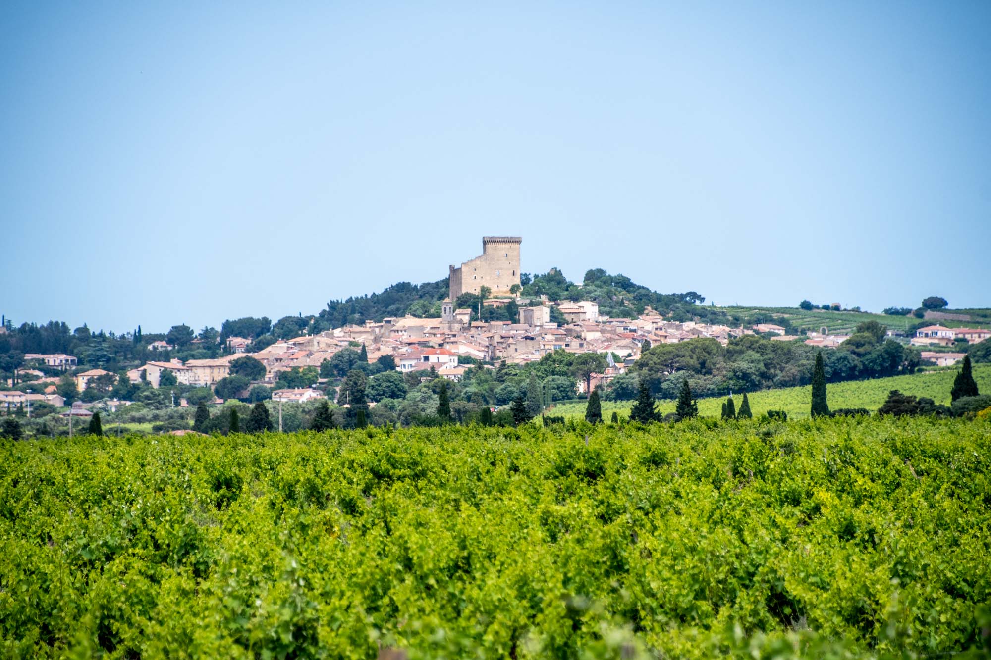 Vineyards surrounding a small village with a tall building at its center
