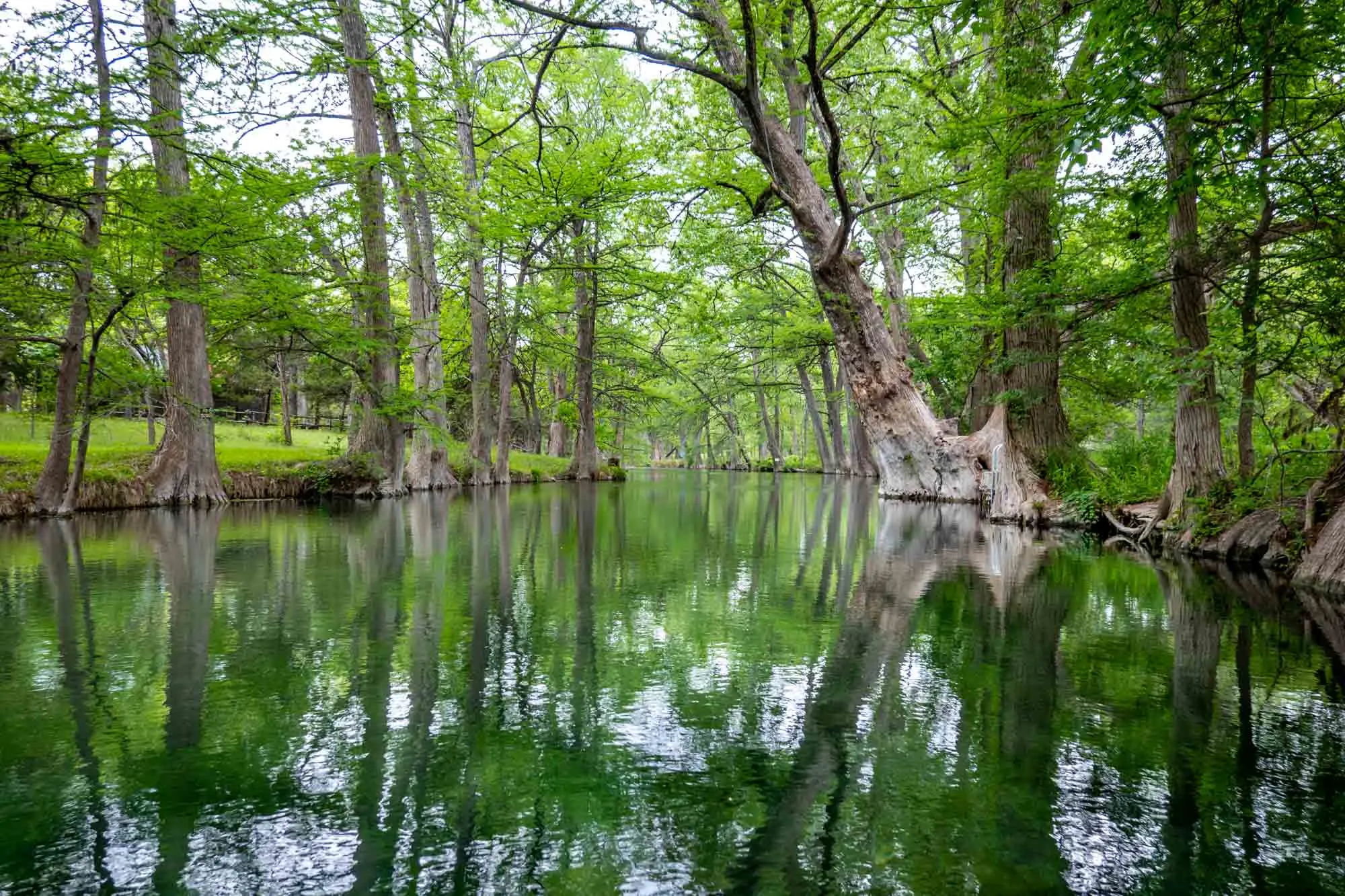 Hiking the hills of the Wimberley Valley