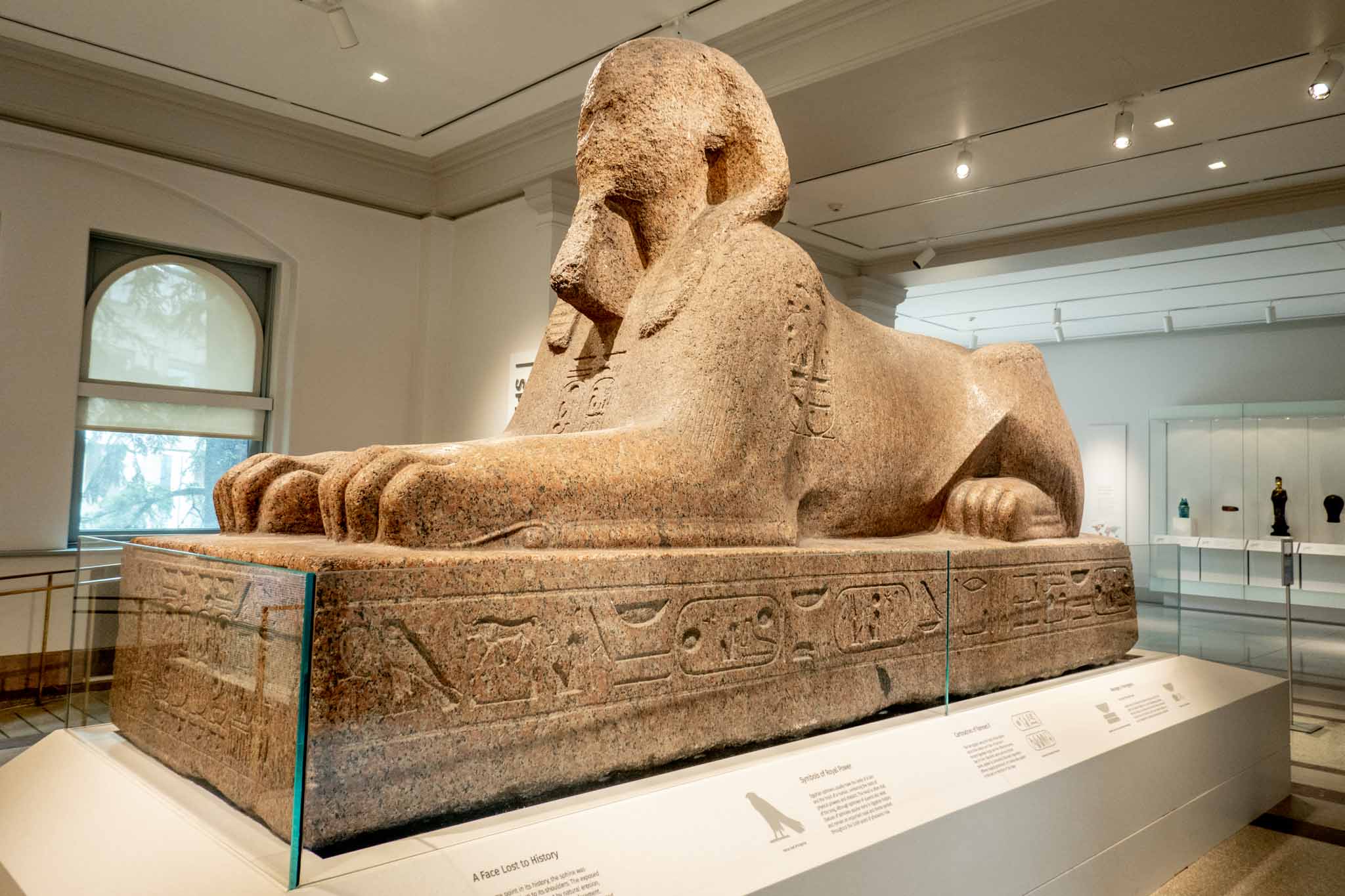 Large Sphinx sculpture displayed in a museum