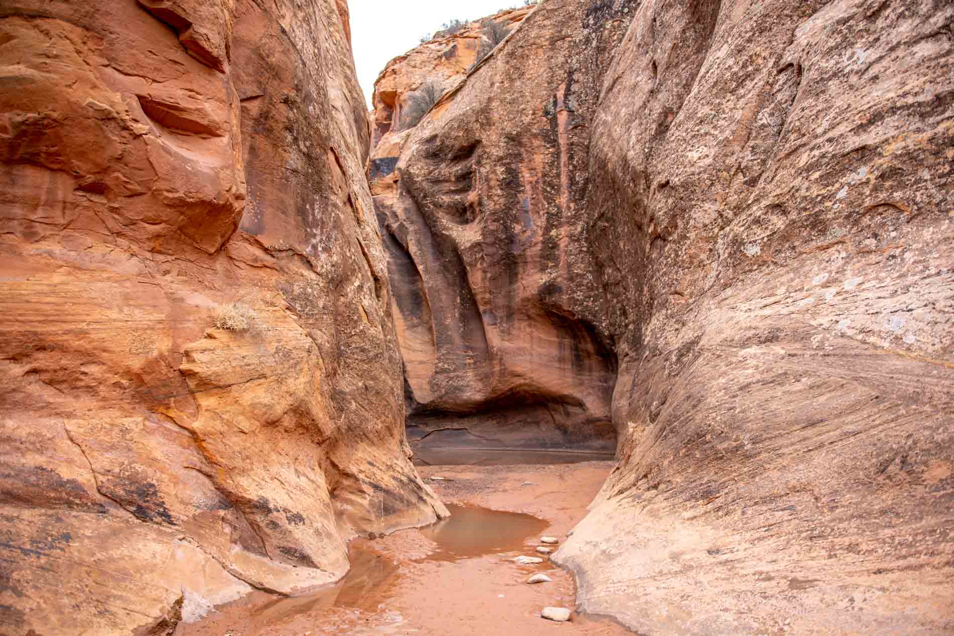 Narrow slow canyon in Utah with muddy water