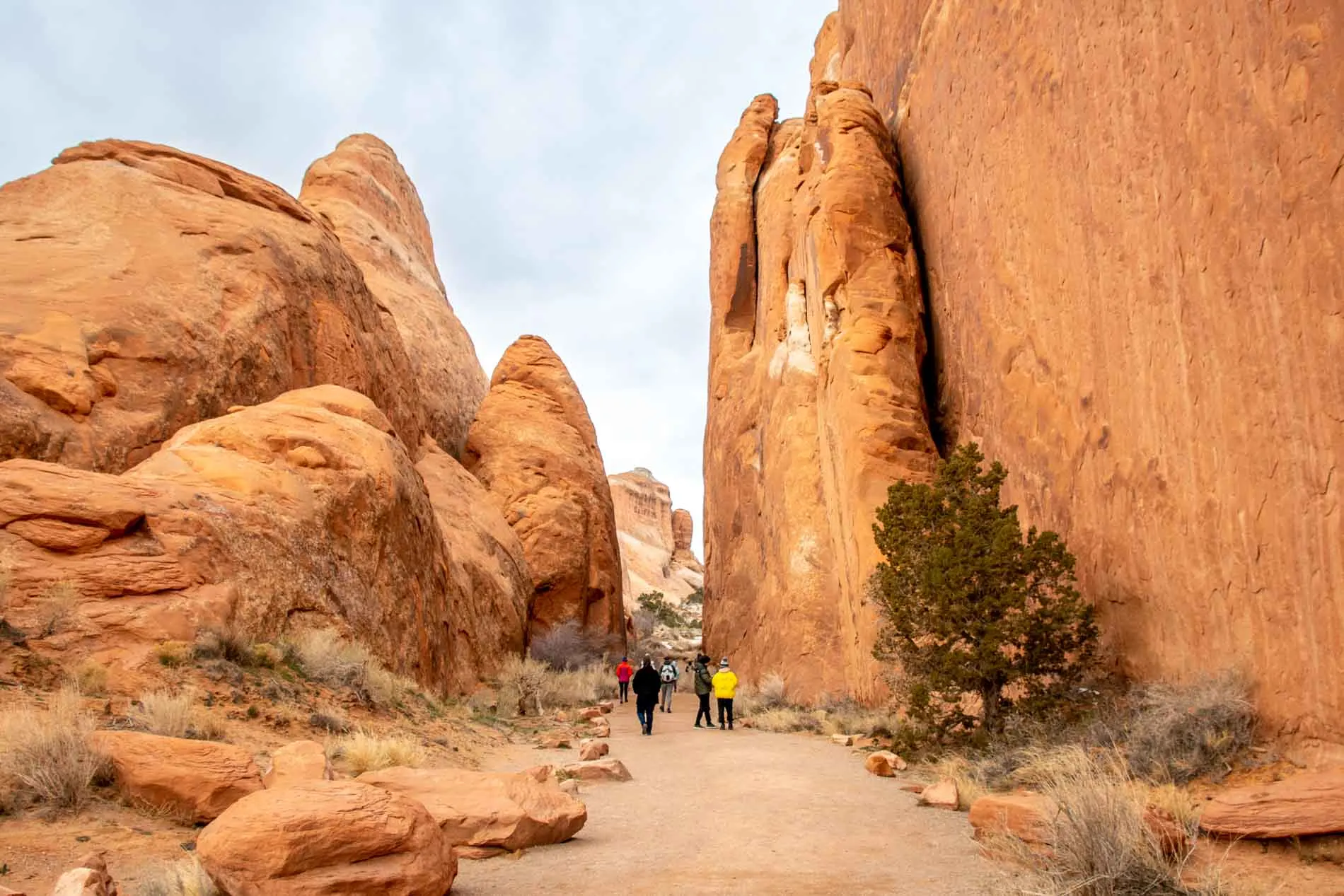 People hiking in the Devils Garden at Arches National Park