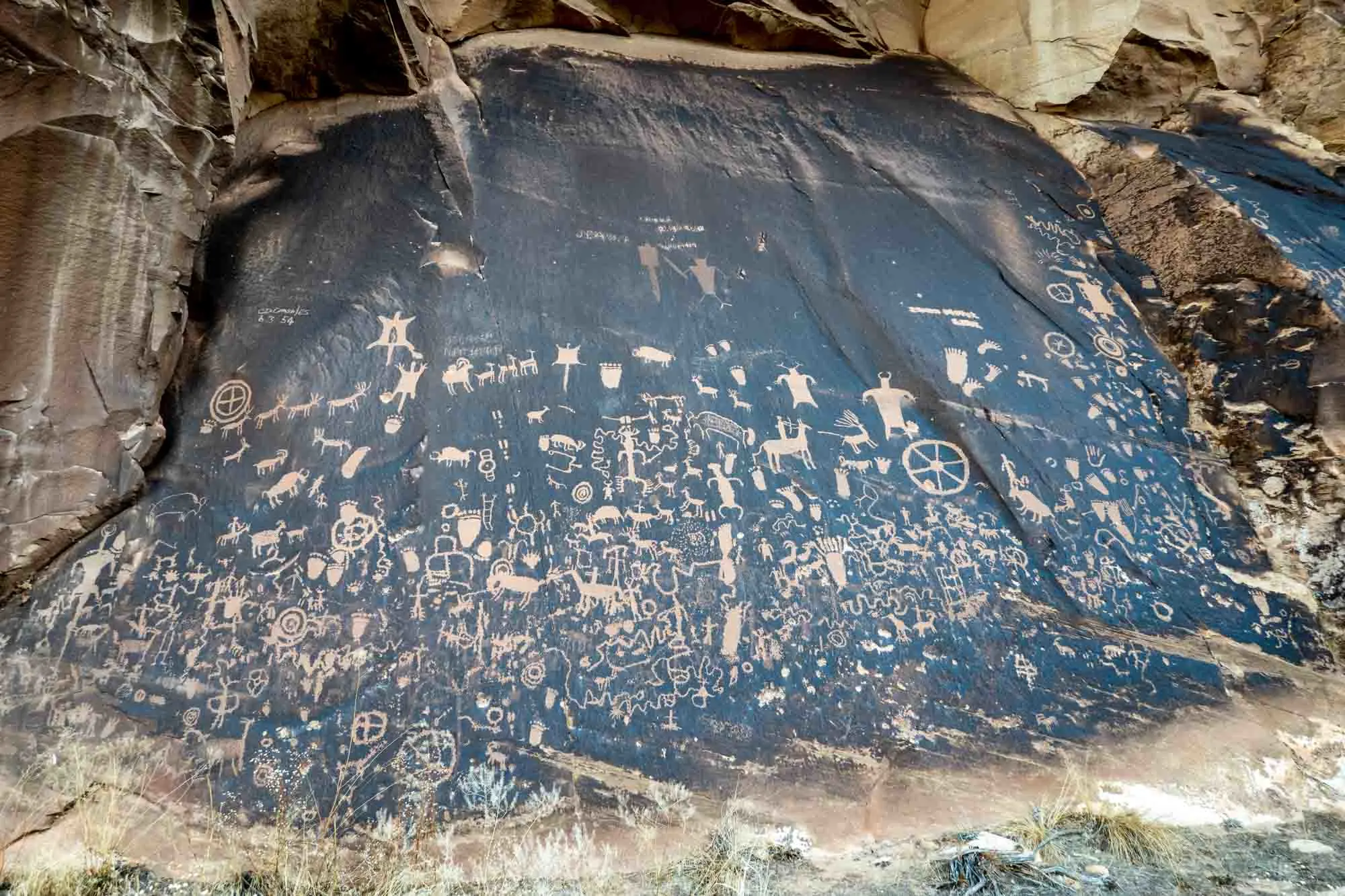 Large number of Native American petroglyphs carved into rock face