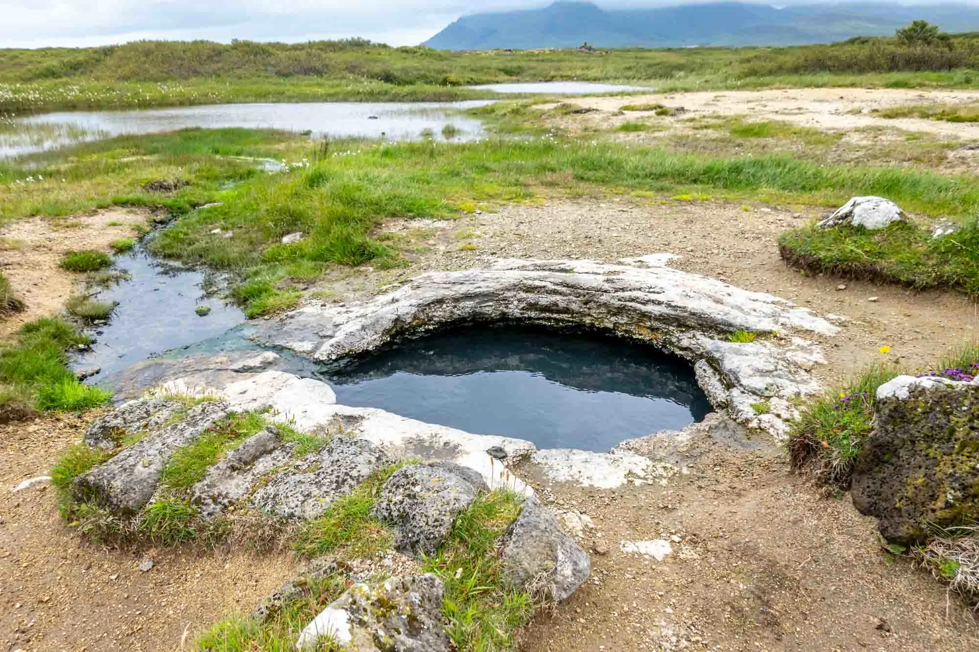 Small oval-shaped hot springs swimming hole in remote field with grass and rocks