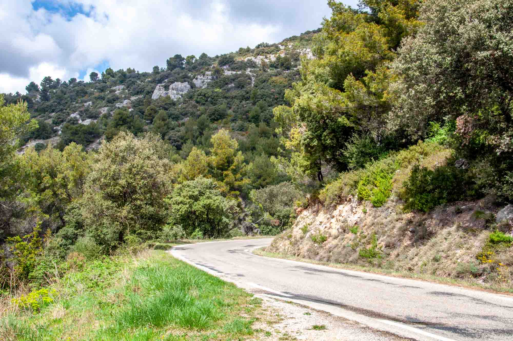 Narrow roadway along a hillside