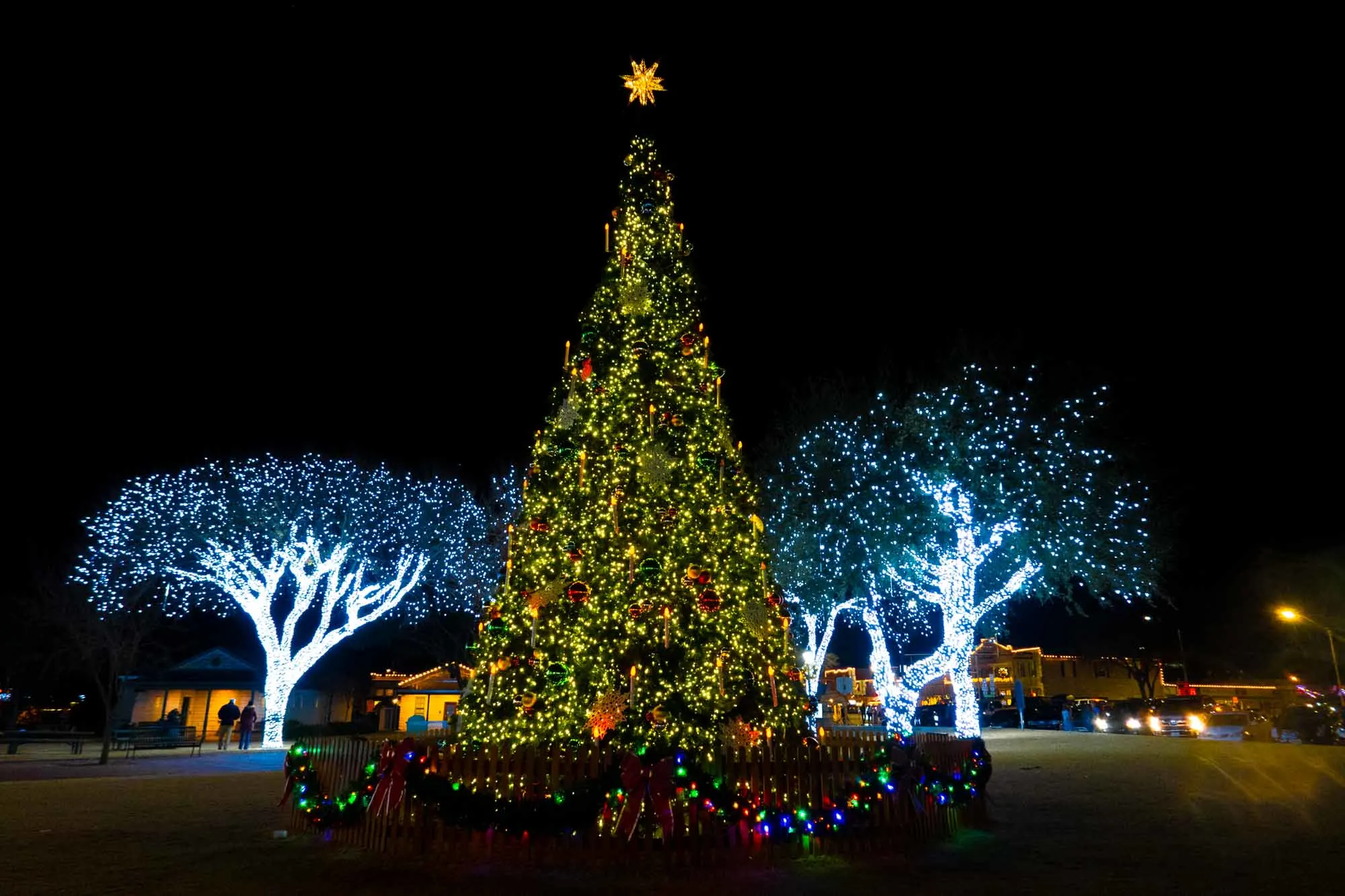 Christmas tree illuminated at night