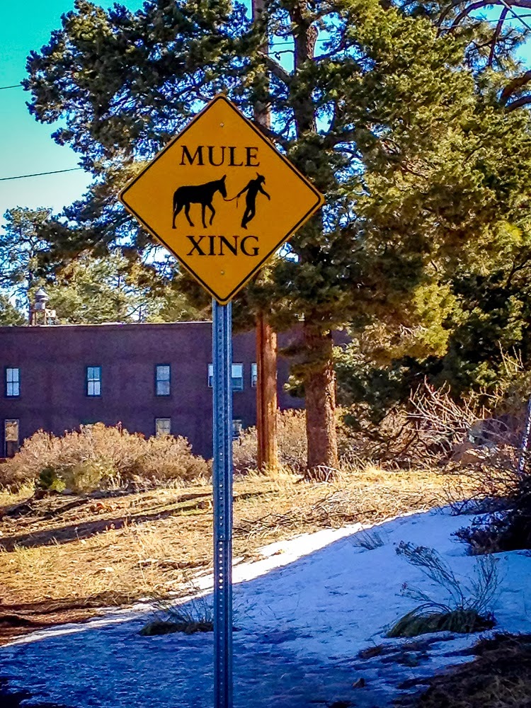 Yellow Mule crossing sign